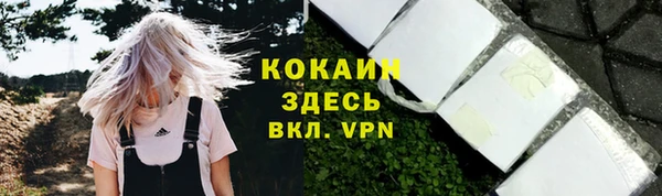 мяу мяу мука Абаза