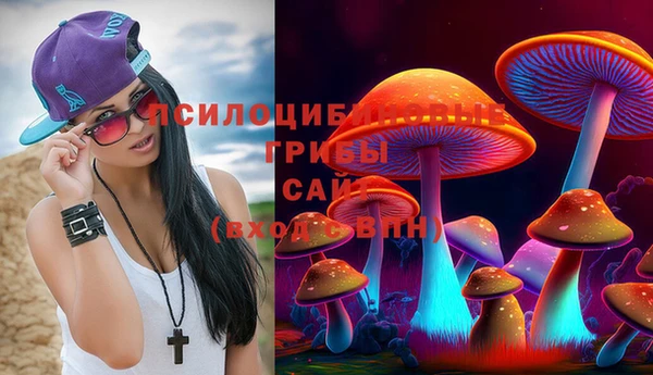 мяу мяу мука Абаза