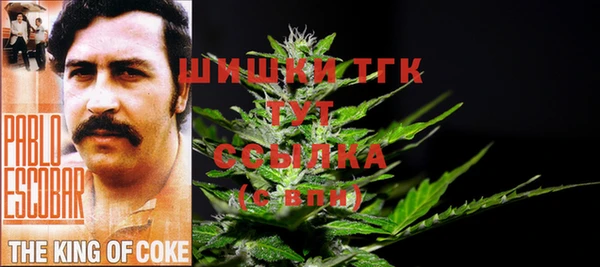 мяу мяу мука Абаза