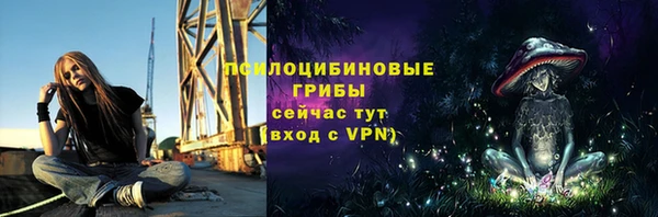 мяу мяу мука Абаза