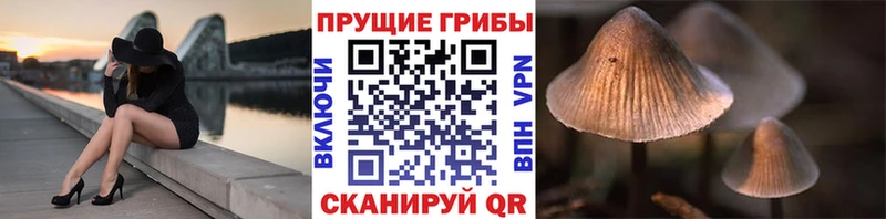 наркотики  Урень  Галлюциногенные грибы Magic Shrooms 